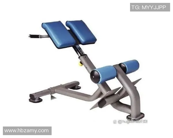 练腰部健身器材：适合锻炼腰部的健身器材与动作指导